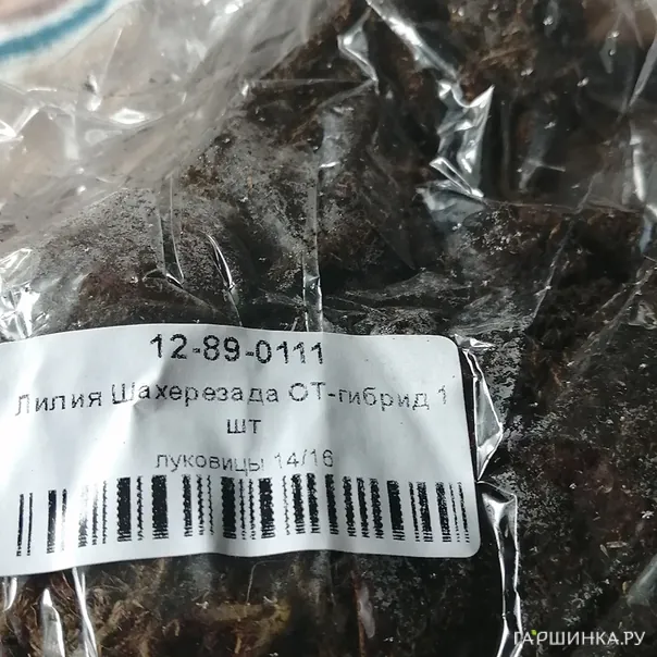 превью изображения отзыва