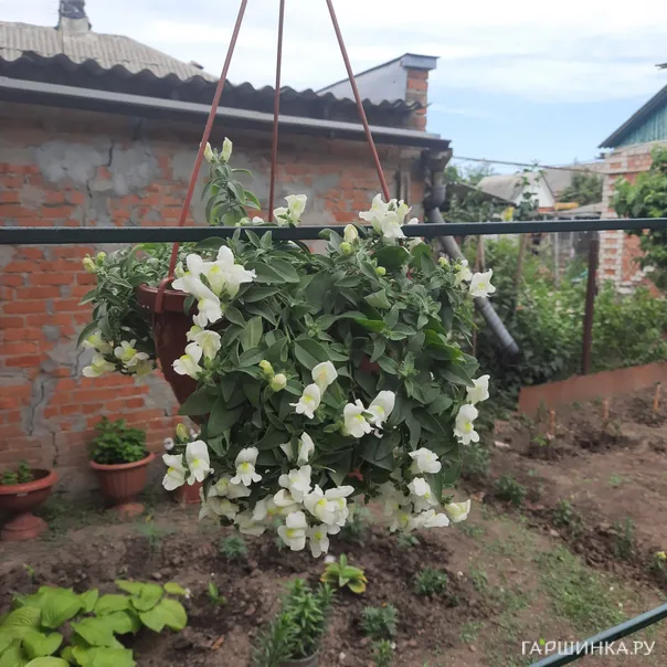 превью изображения отзыва