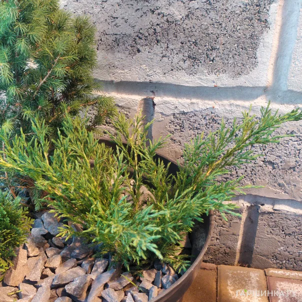 превью изображения отзыва