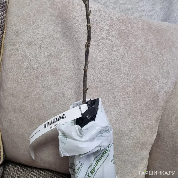 превью изображения отзыва