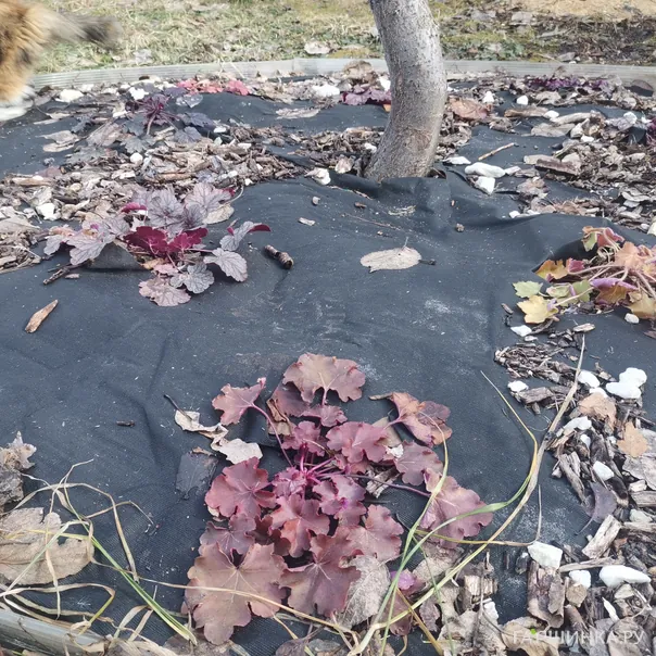 превью изображения отзыва