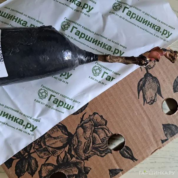 превью изображения отзыва