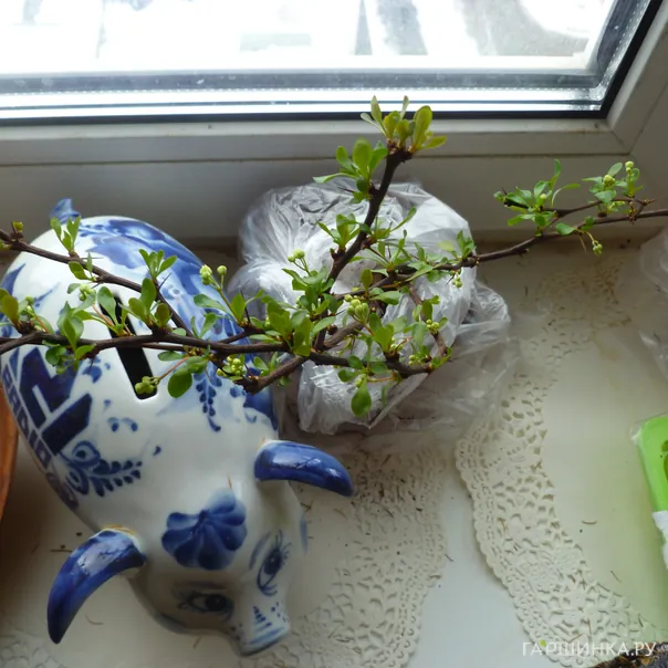 превью изображения отзыва