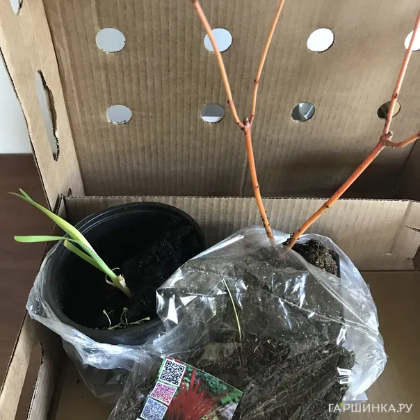 превью изображения отзыва