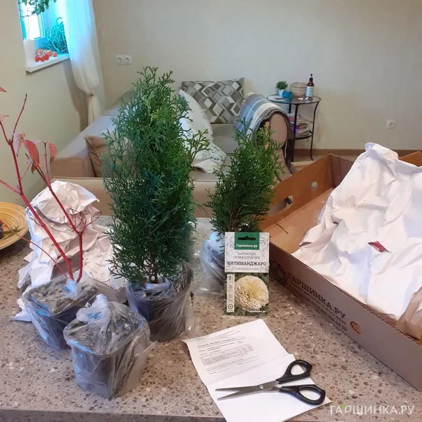 превью изображения отзыва