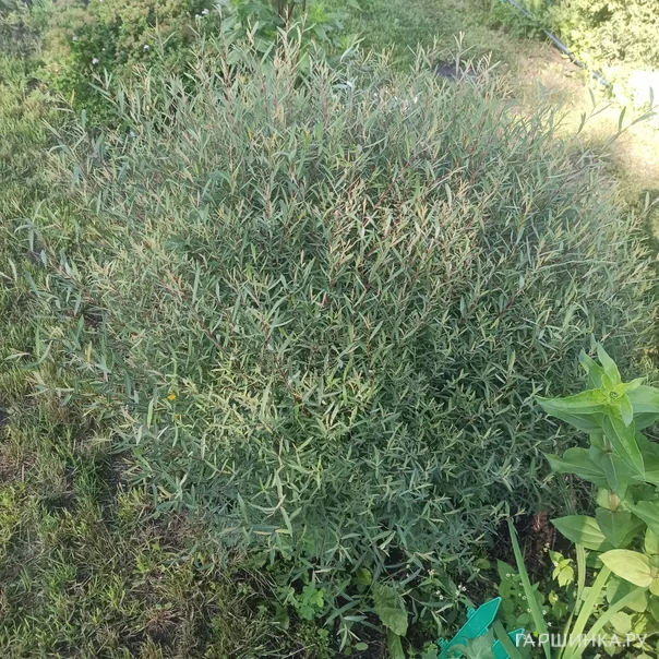 превью изображения отзыва