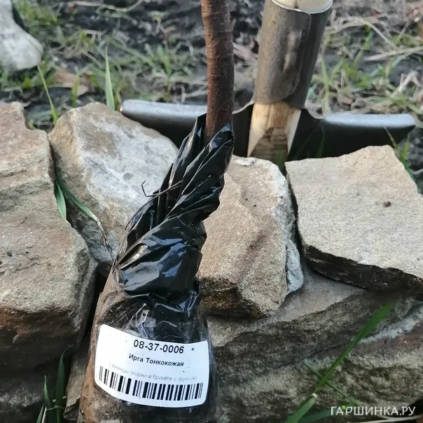 превью изображения отзыва