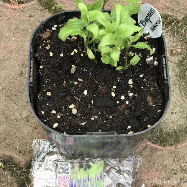 превью изображения отзыва