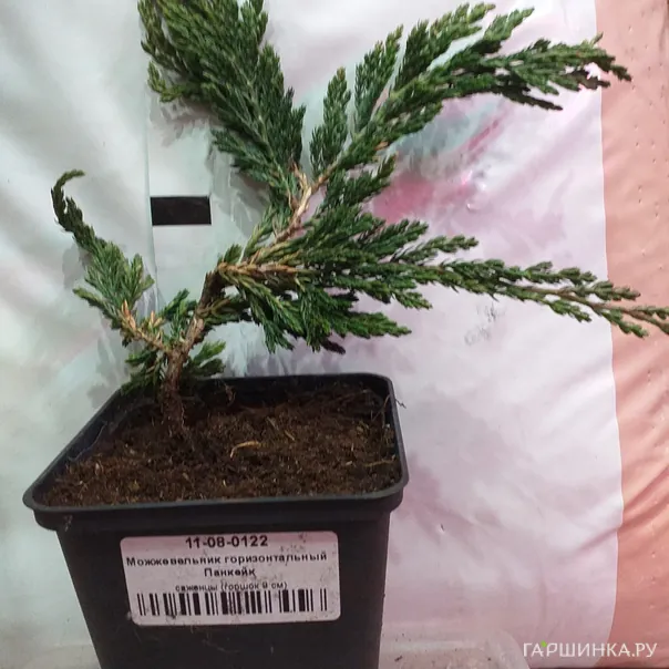 превью изображения отзыва