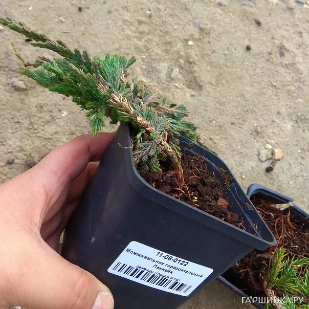 превью изображения отзыва