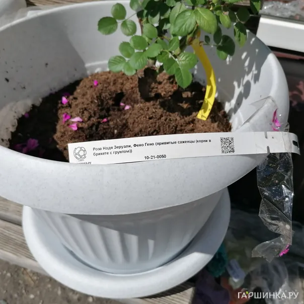 превью изображения отзыва