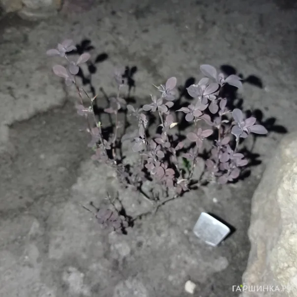 превью изображения отзыва