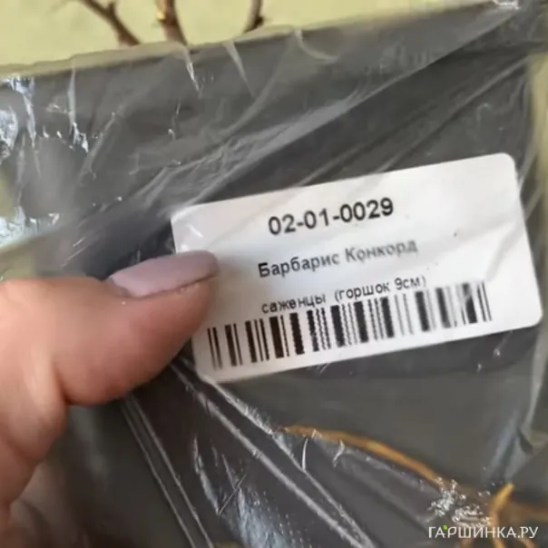 превью изображения отзыва