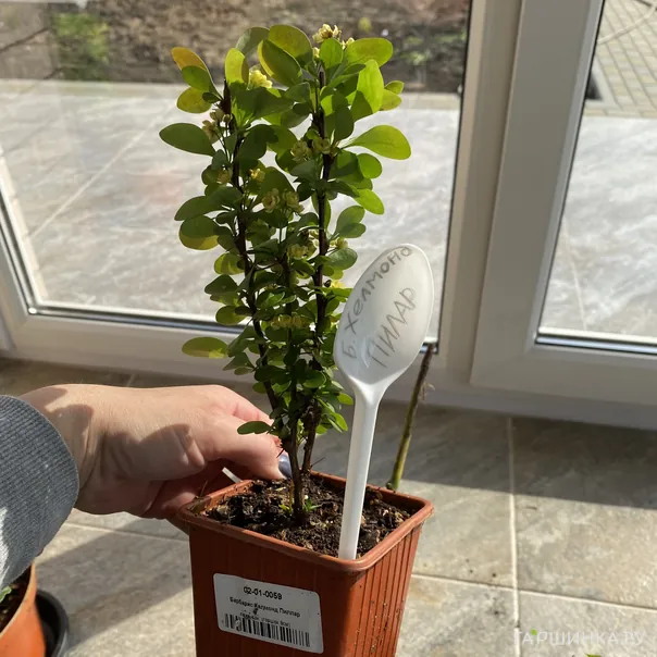 превью изображения отзыва