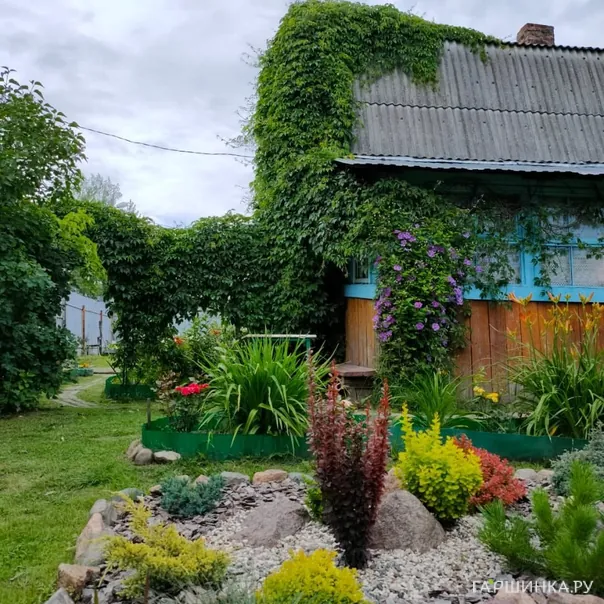 превью изображения отзыва