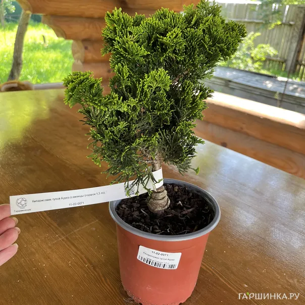 превью изображения отзыва