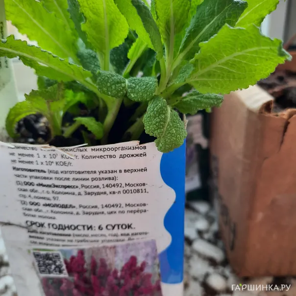 превью изображения отзыва