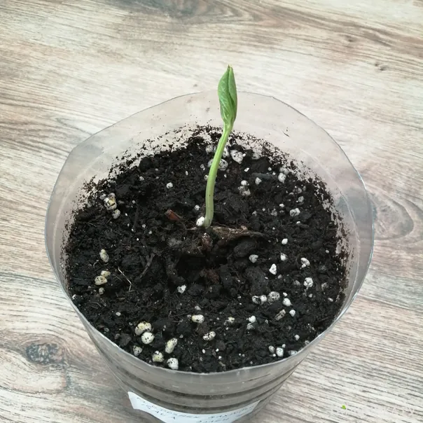 превью изображения отзыва