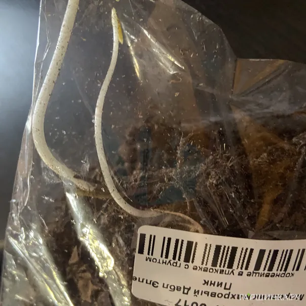 превью изображения отзыва