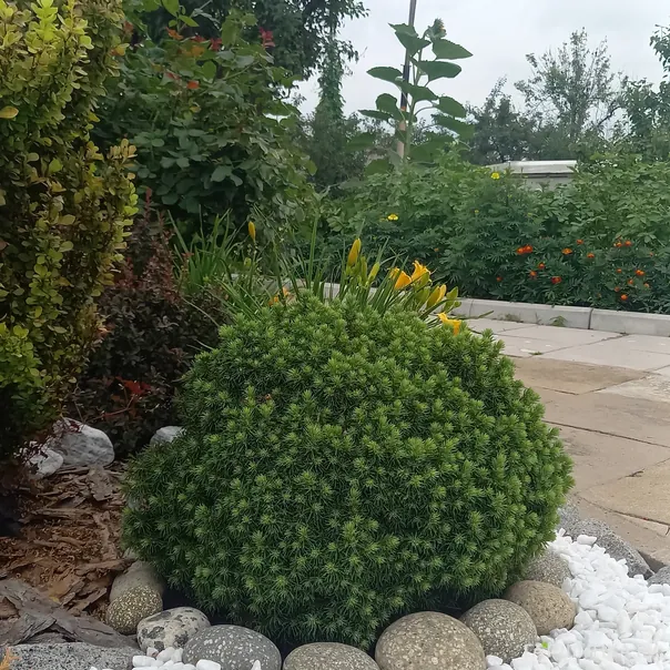 превью изображения отзыва