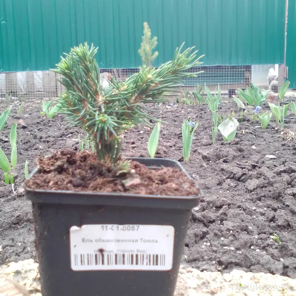 превью изображения отзыва