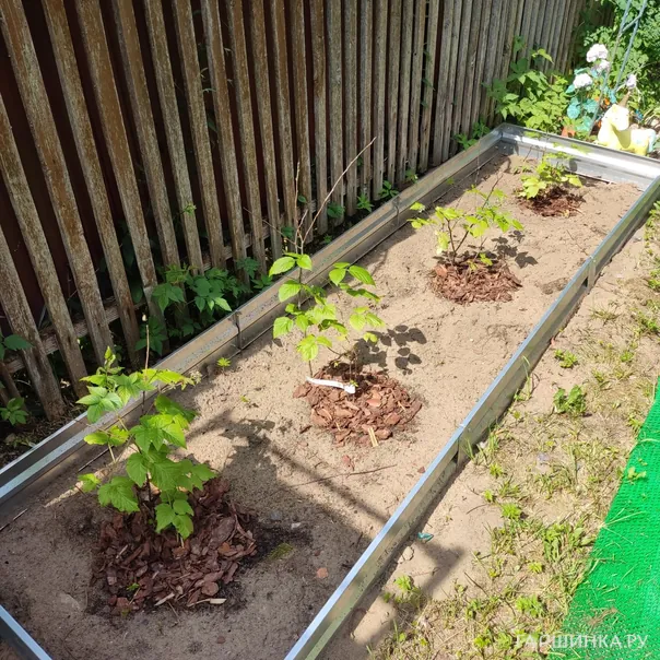 превью изображения отзыва