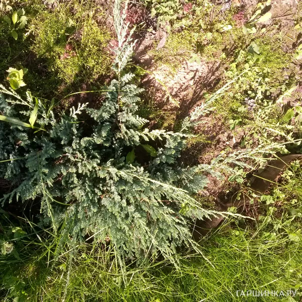 превью изображения отзыва