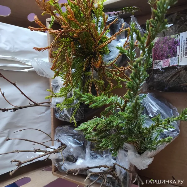 превью изображения отзыва