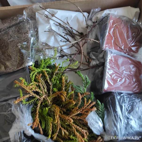 превью изображения отзыва