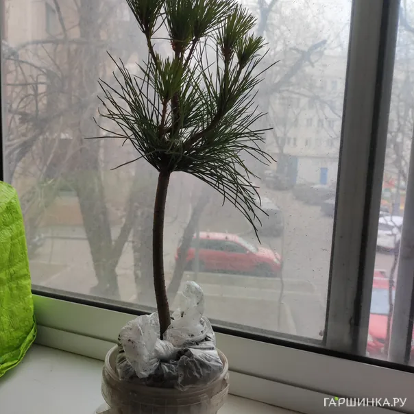 превью изображения отзыва