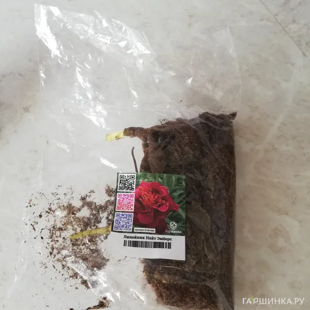 превью изображения отзыва