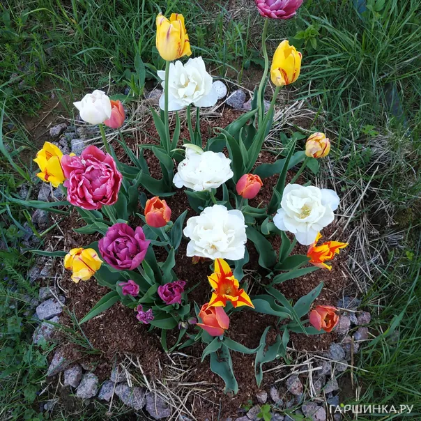 превью изображения отзыва