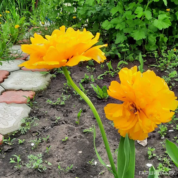 превью изображения отзыва