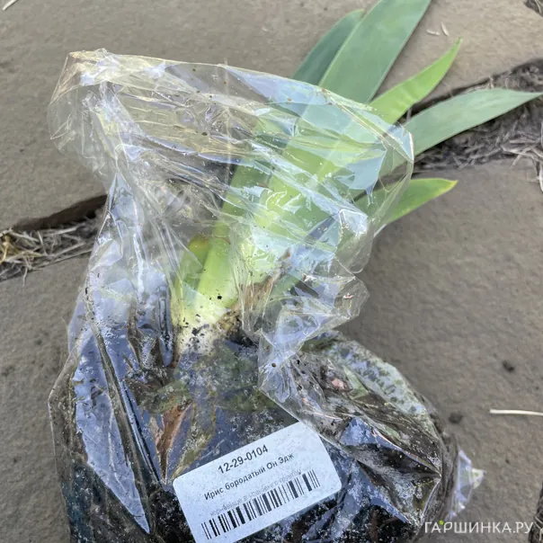 превью изображения отзыва