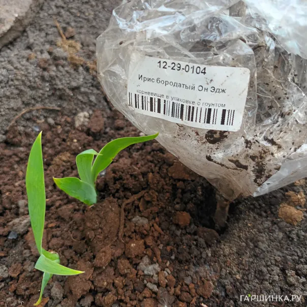 превью изображения отзыва