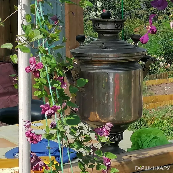 превью изображения отзыва