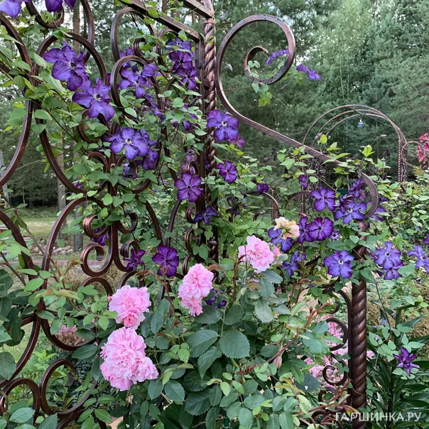 превью изображения отзыва