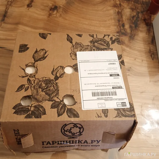 превью изображения отзыва