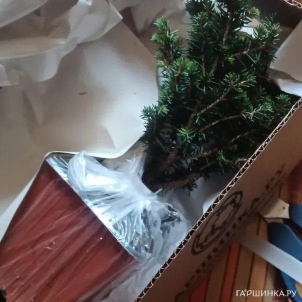 превью изображения отзыва