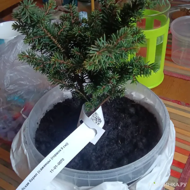 превью изображения отзыва