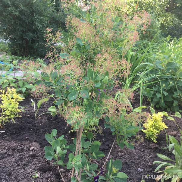 превью изображения отзыва