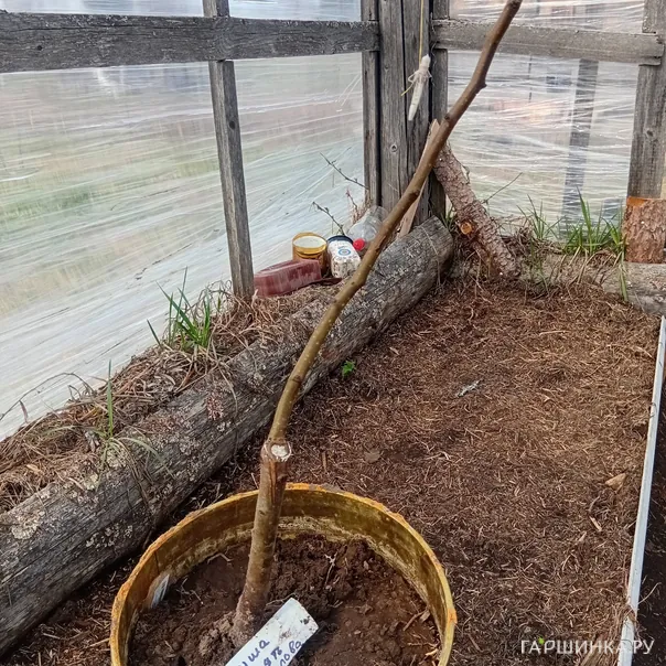 превью изображения отзыва