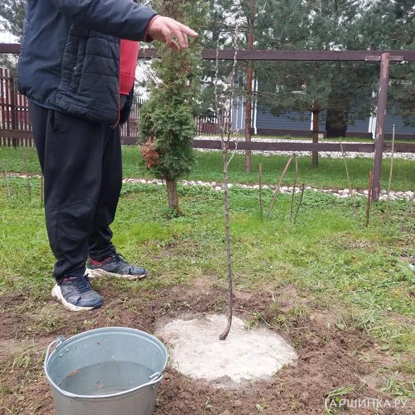 превью изображения отзыва