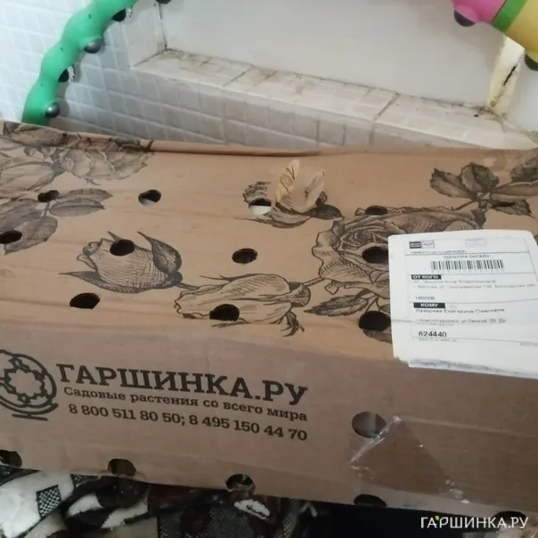 превью изображения отзыва