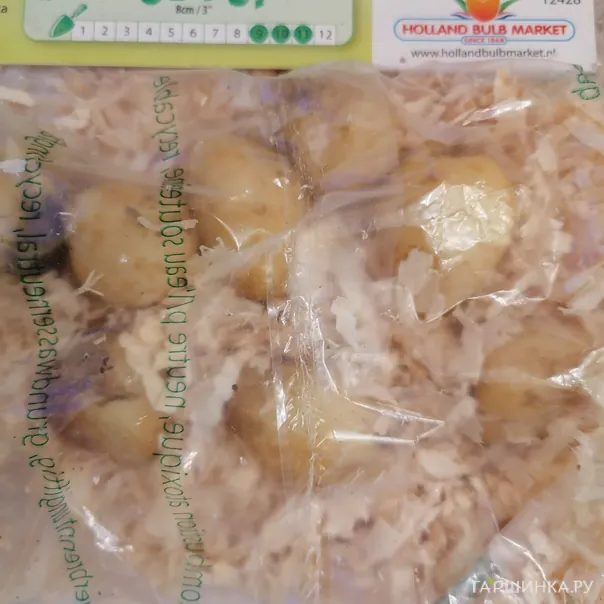 превью изображения отзыва