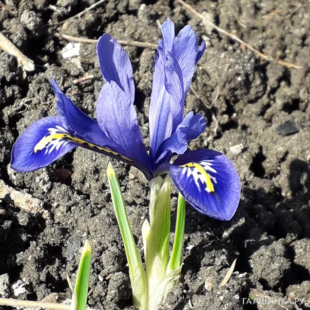 превью изображения отзыва