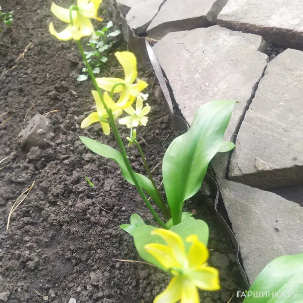 превью изображения отзыва