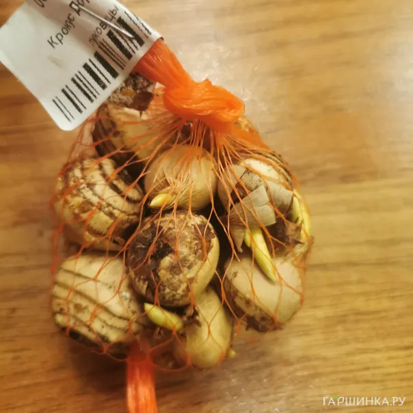 превью изображения отзыва