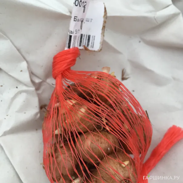 превью изображения отзыва