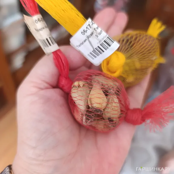 превью изображения отзыва